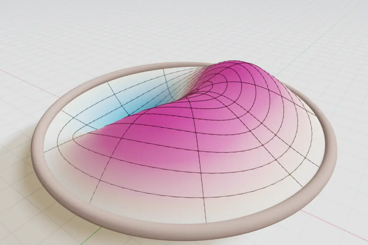 A circular drumhead with a mesh, bulging up in magenta on one side and down in blue on the other, inside a brown rim